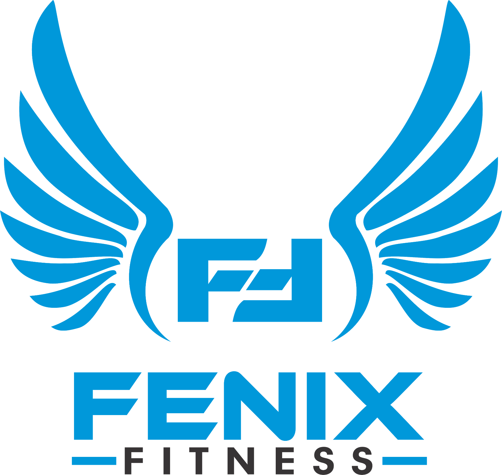 Fenix Fitness logo